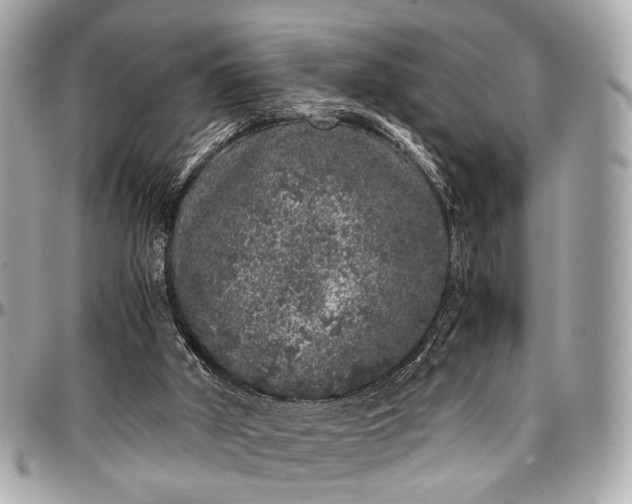 X0000097000010200802221531