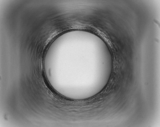 X0000097000011200802221531