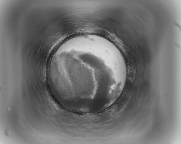 X0000097000012200802221531