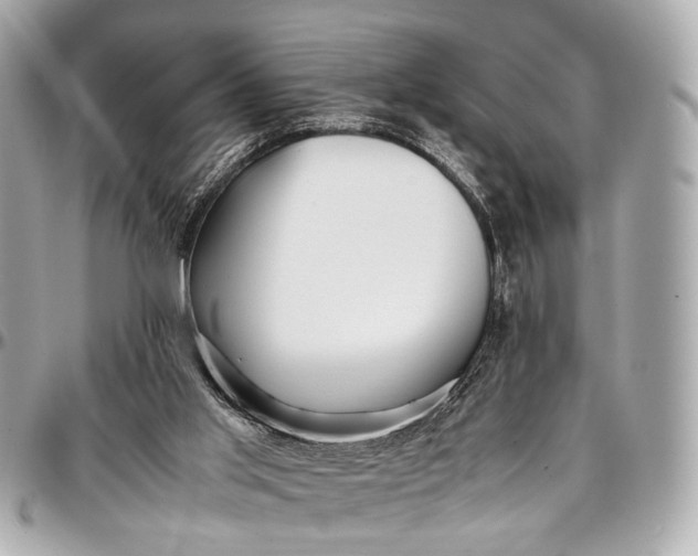 X0000097000013200802221531