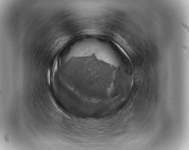 X0000097000014200802221531