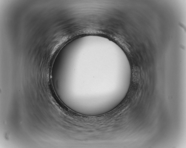 X0000097000015200802221531