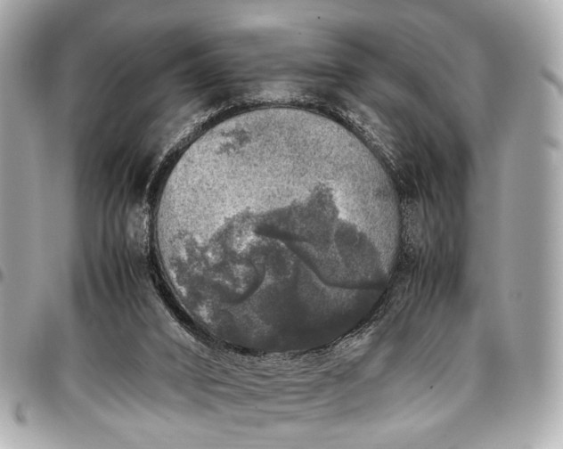 X0000097000016200802221531