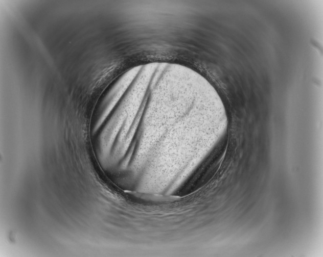 X0000097000017200802221531