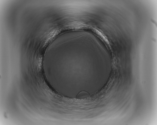 X0000097000018200802221531