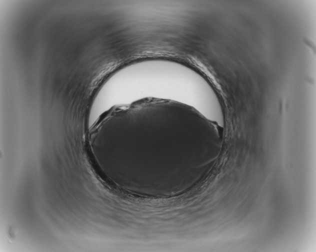 X0000097000019200802221531