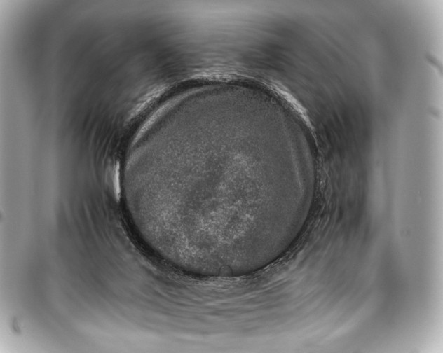 X0000097000020200802221531