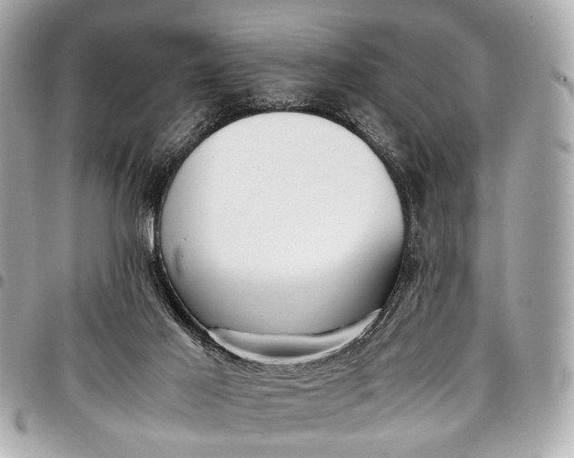 X0000097000021200802221531