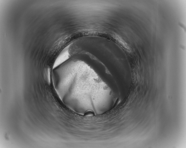 X0000097000022200802221531