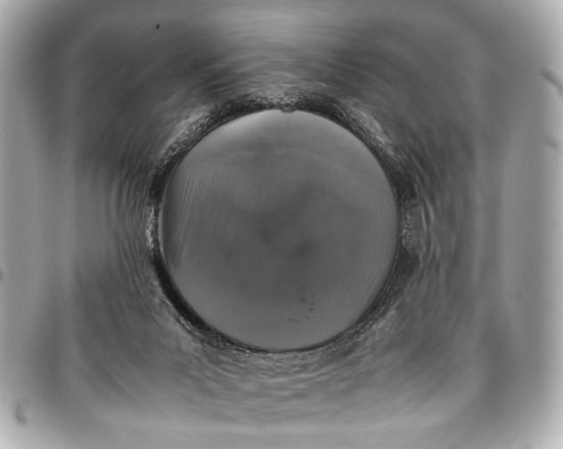 X0000097000023200802221531