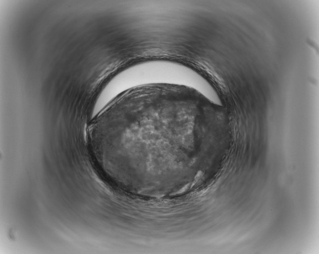 X0000097000024200802221531