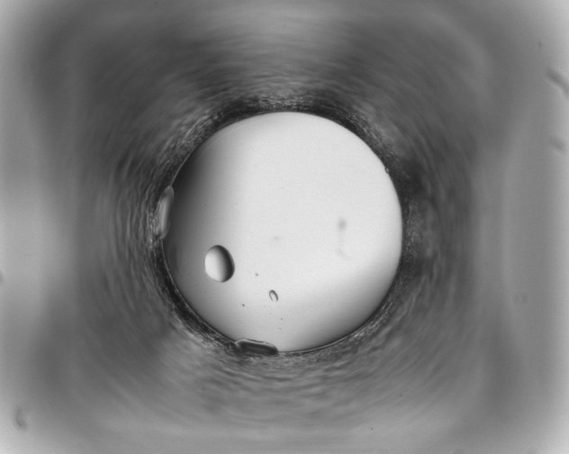 X0000097000025200802221531