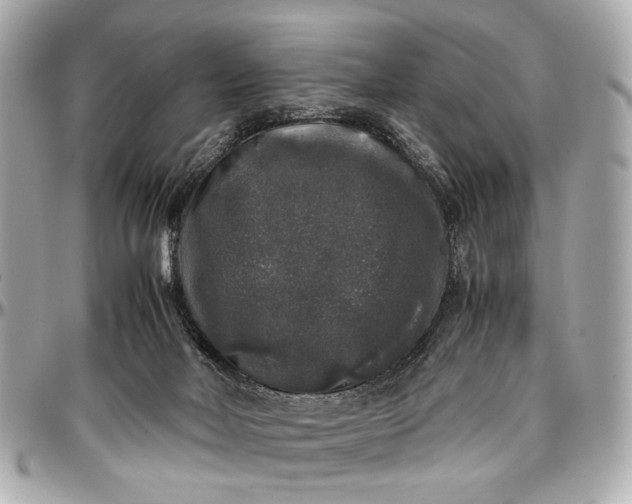 X0000097000026200802221531