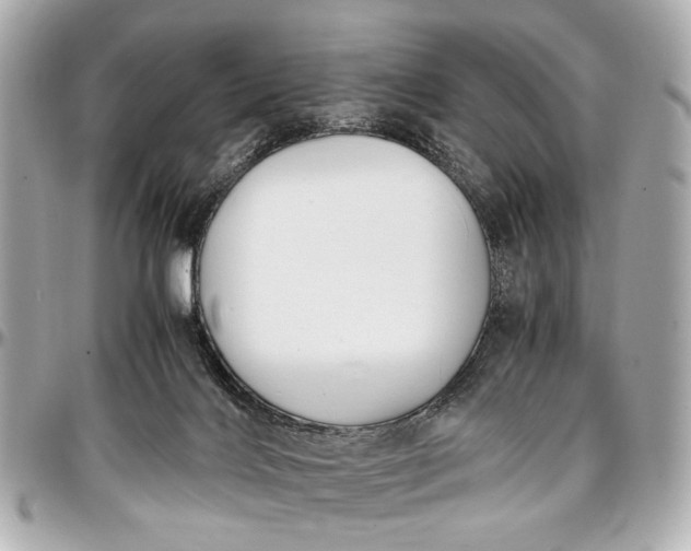 X0000097000028200802221531