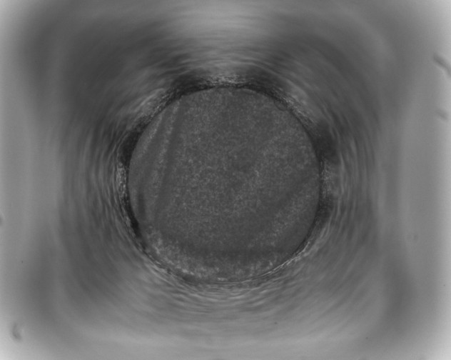 X0000097000029200802221531