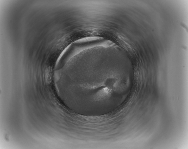 X0000097000030200802221531