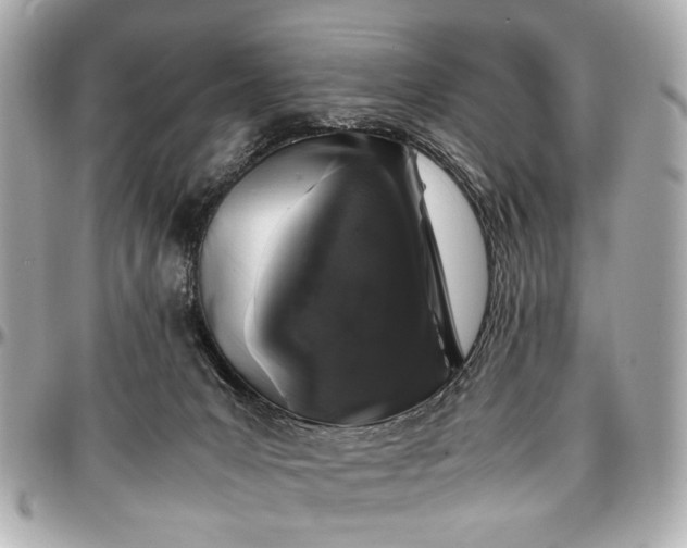 X0000097000031200802221531