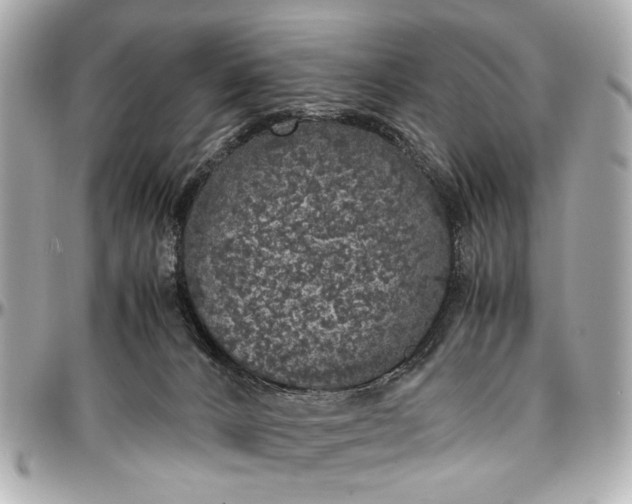 X0000097000032200802221531