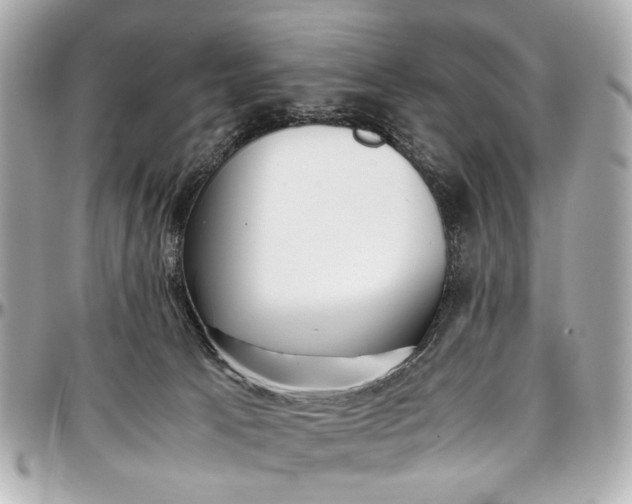 X0000097000033200802221531