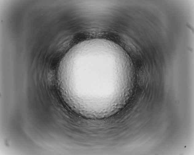 X0000097000034200802221531