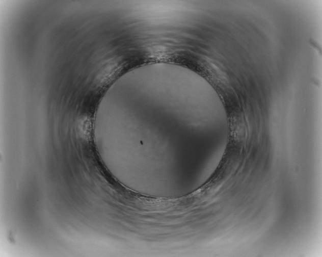 X0000097000036200802221531