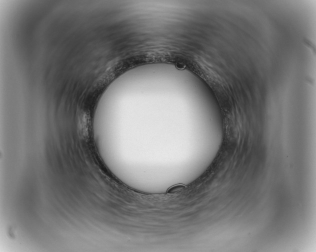 X0000097000038200802221531