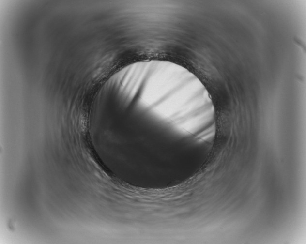 X0000097000039200802221531