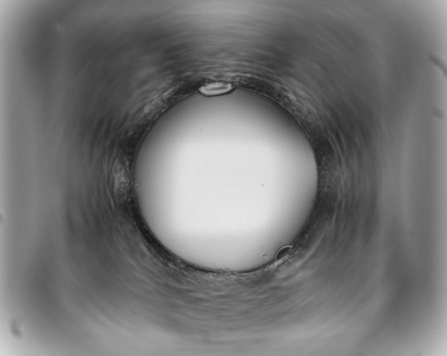 X0000097000040200802221531