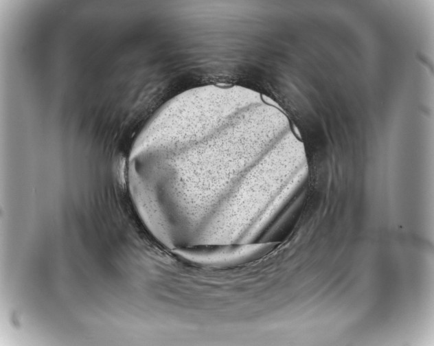 X0000097000041200802221531