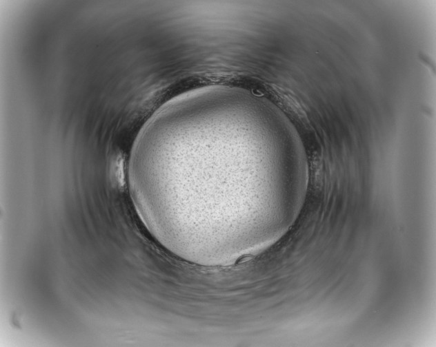 X0000097000042200802221531