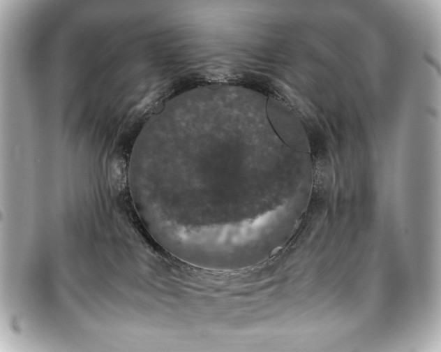 X0000097000043200802221531