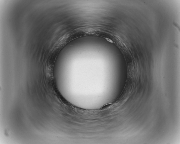 X0000097000044200802221531