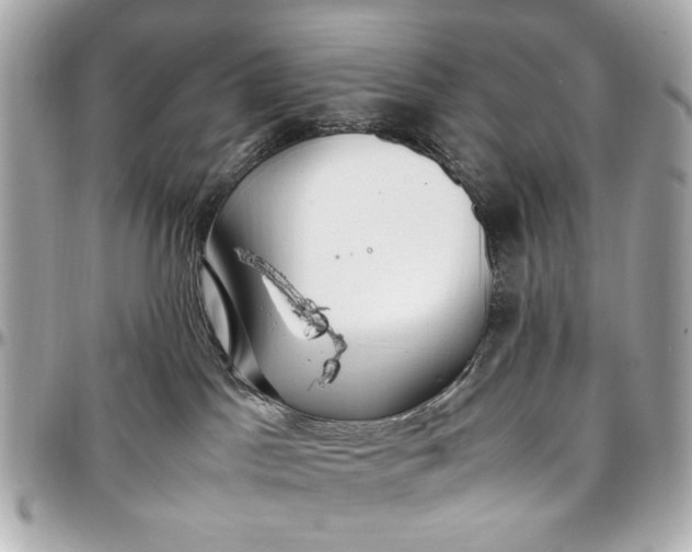 X0000097000045200802221531