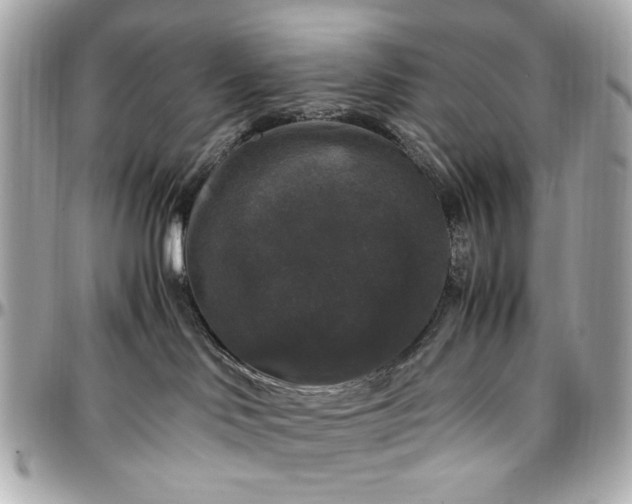 X0000097000046200802221531