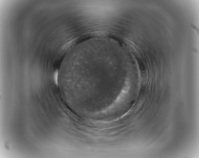 X0000097000047200802221531