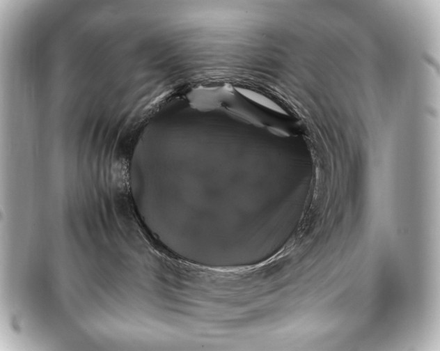 X0000097000048200802221531