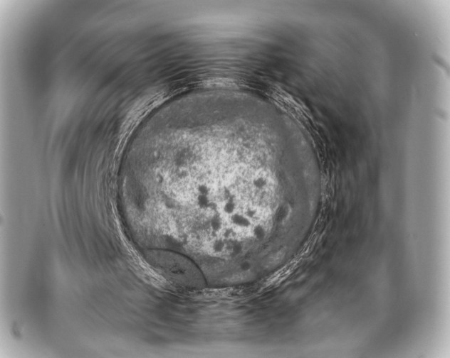 X0000097000049200802221530