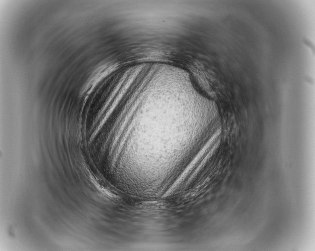 X0000097000050200802221530