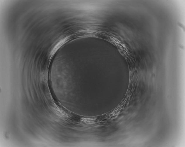 X0000097000051200802221530