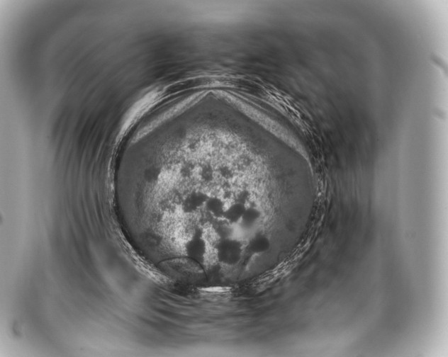 X0000097000053200802221530