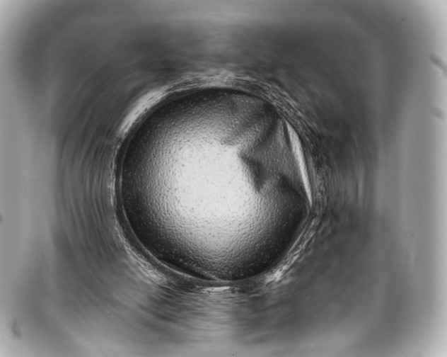 X0000097000054200802221530