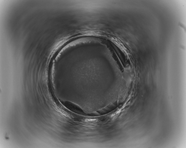 X0000097000055200802221530