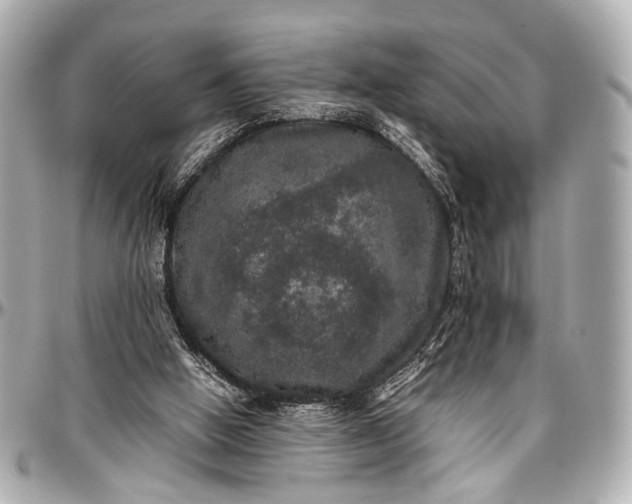 X0000097000058200802221530