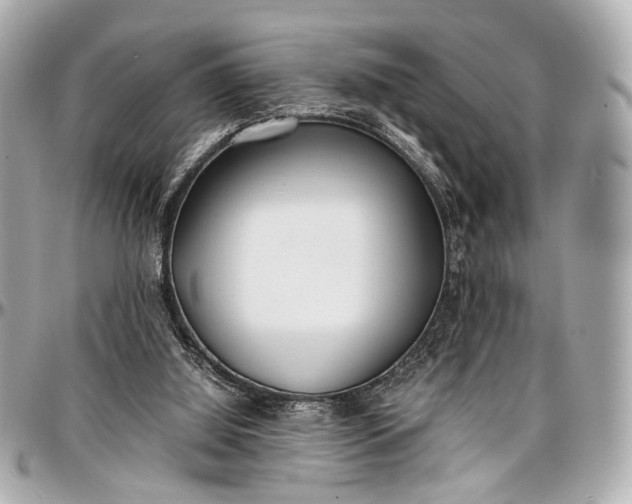 X0000097000060200802221530