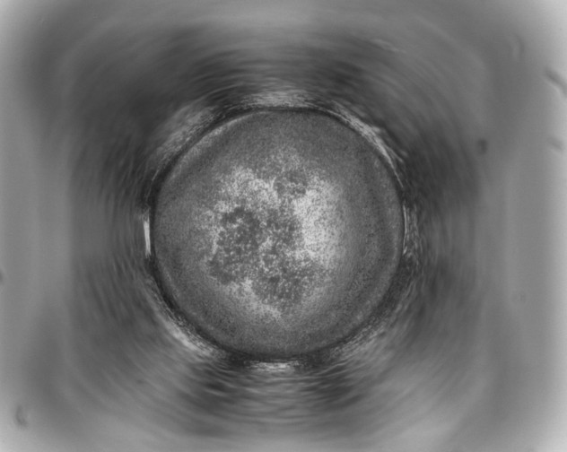 X0000097000061200802221530