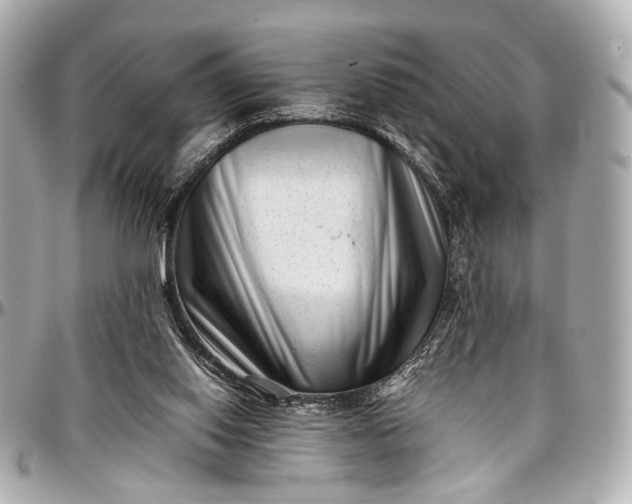 X0000097000062200802221530