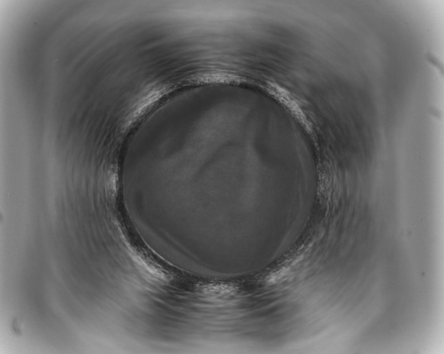 X0000097000063200802221530