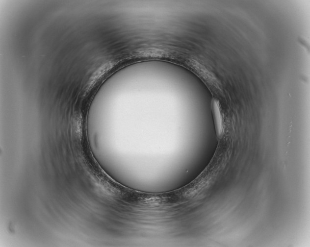 X0000097000064200802221530