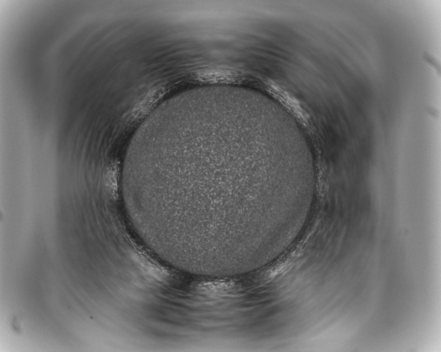 X0000097000065200802221530