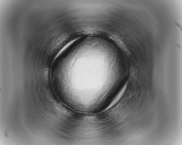 X0000097000066200802221530